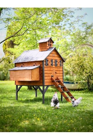 Mandu Ahşap Tavuk Kümesi (Max 16 Tavuk)