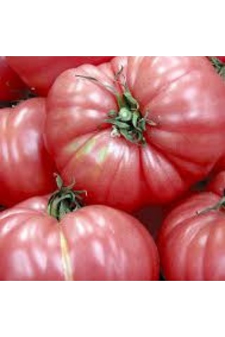 Bahçevilya Pembe Domates Tohumu 200 Adet