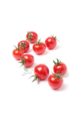 Chery Domates 250 Tohumu "Oturak"