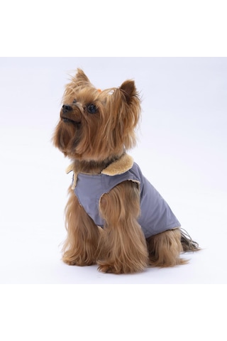 Gri Yukon Yelek Köpek Yeleği Köpek Kıyafeti Köpek Yağmurluk