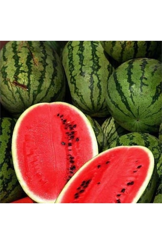 Meşhur Diyarbakır Karpuzu Tohumu 5 Adet Tohum Karpuz Tohumu