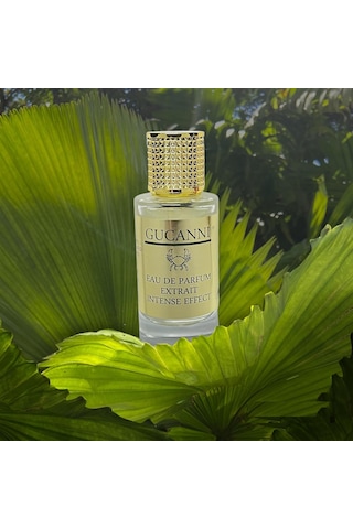 Lexroo Terre'd Hermes 75ml Edp Erkek Parfüm Ultra Kalıcı Biz Daha Iyisini Yapana Kadar En Iyisi Bu Diğer