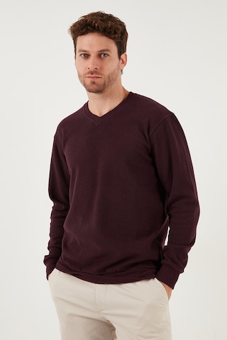 Buratti Pamuklu Regular Fit V Yaka Erkek Kazak 456202 V Mürdüm