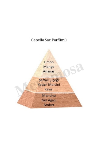 Bargello Capella Saç Parfümü 150 ML Edt Diğer