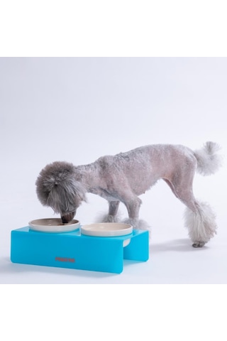 Turkuaz İkili Seramik-pleksi Mama Ve Su Kabı-kedi Köpek Mama Su Kabı