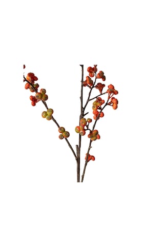 Mudo Home Orange Berry Dal Çiçek 88 Cm 1484476