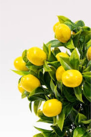 Rüzgar Çiçekcilik Yapay Limon Demeti Sarı