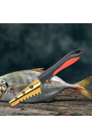 Suntek Magideal Balık Pulu Sökücü Altın