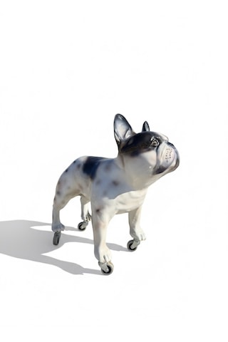 Dev Boyut 60 Cm Tekerlekli French Bulldog Heykeli - Lüks Zemin Dekorasyonu