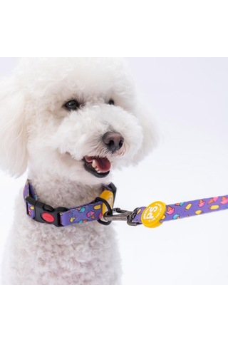 Ice Cream Dondurma Desenli Köpek Boyun Tasması Ayarlanabilir Köpek Tasması Mor