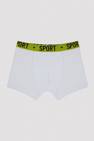 Penti Erkek Çocuk Cool Spor 2li Boxer Çok Renkli