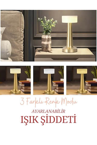 Dekoratif Şarjlı Dokunmatik Gece Lambası Ve Led Masa Lambası