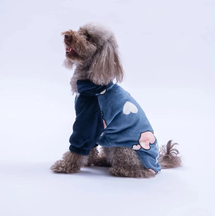 Pawstar Mavi Verona Kiss Küçük Irk Köpek Polar Ceket