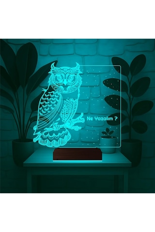 Luvivia Baykuş Kuş Tasarım Kişiye Özel 3d Lamba - Masa Gece Lambası Şeffaf