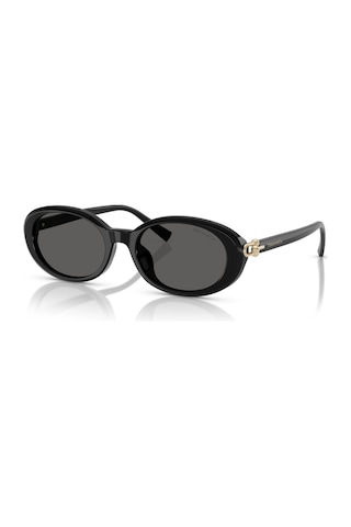 Tf 4242d 8361s4 54 Tiffany & Co. Güneş Gözlüğü Siyah