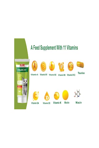 Vitalicat Kediler İçin Vitamin, Macun Paste , 100 Ml