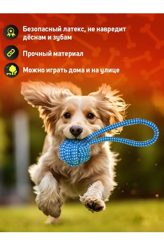 Tooth For Tooth Köpekler İçin Oyuncak Seti 248178972