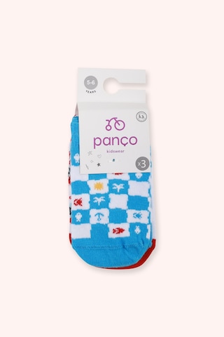 Panço Erkek Çocuk 3'lü Patik Çorap Seti Renkli