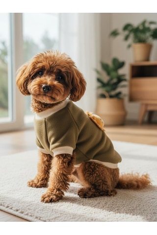 Minik Aslan Köpek Sweatshirt Haki