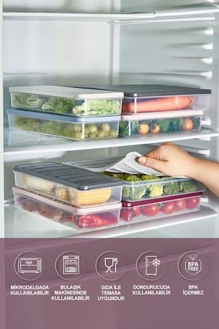 Selka Home 2 Adet 2,25 Lt. Nora Organizer Buzdolabı Buzluk Düzenleyici  Saklama Kabı