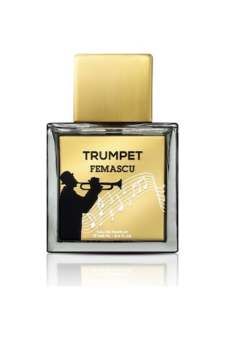 Femascu 6519 Erkek Parfüm EDP 100 ML