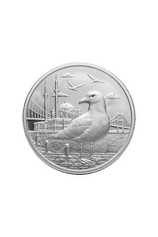 Agakulche İstanbul Martısı Gümüş Sikke Coin