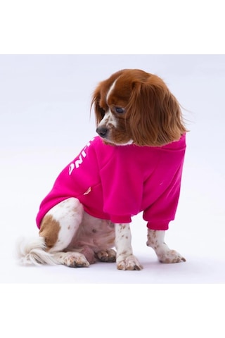 Pawstar Pembe Lahti Polarlı Küçük Irk Köpek Sweatshirtü