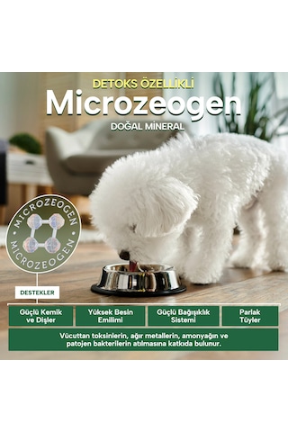 Nature's Protection Superior Care Beyaz Tüylü Köpekler İçin Tahılsız Balıklı Küçük Irk Köpek Maması 4kg