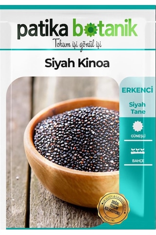 100 Adet Siyah Kinoa Tohumu
