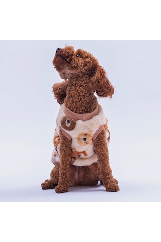 Bubu Cozy Peluş Sweat Ayı Desenli Kedi Köpek Sweati Kedi Köpek Kıyafeti Köpek Peluş Kolsuz Sweat Sıcak Tutan Süveter