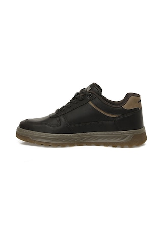 U.s. Polo Assn. Belo 5pr Kahverengi Erkek Sneaker Kahverengi