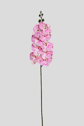 Pembe Yapay Orkide Çiçeği Tek Dal Premium Canlı Islak Dokulu 98 Cm