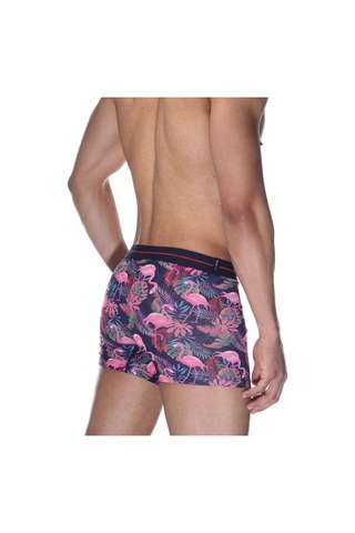 Darkzone Flamingo Desenli Erkek Boxer (Dijital Baskılı) - Dzn2062 Çok Renkli