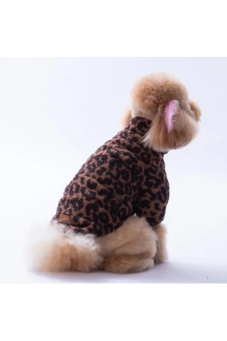 Pawstar Sri Lanka Küçük Irk Köpek Pofuduk Ceketi