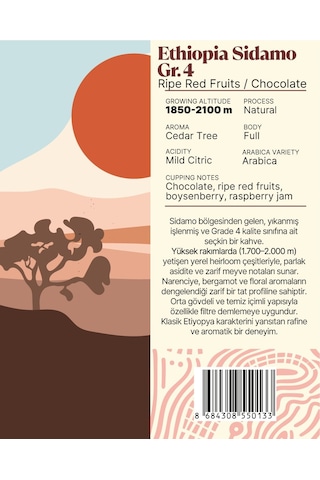 Ethiopia Sidamo Gr.4 Yöresel Filtre Kahve 250 Gr. Çekirdek Kahve