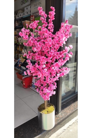 Rüzgar Yapay Çiçekcilik 160 Cm Pembe Bahardali Pembe