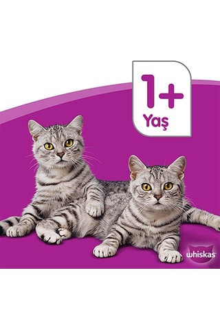 Sığır Etli/havuçlu Kedi Maması 300 G