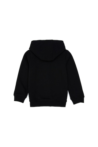 U.S. Polo Assn. Erkek Çocuk Siyah Basic Kapüşonlu Sweatshirt 50308439-VR046