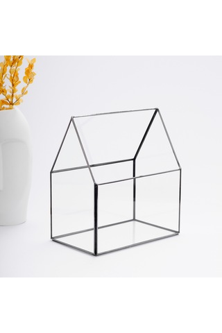 Cam Fanus Geometrik Teraryum Home