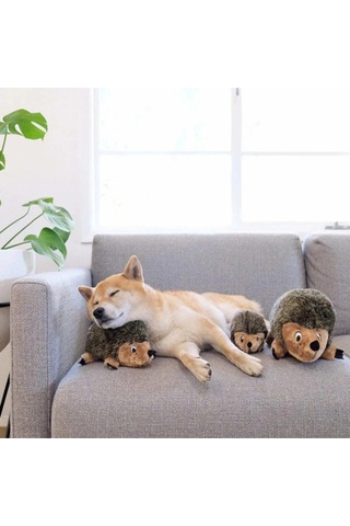 Hedgehogz Kirpi Peluş Köpek Oyuncağı Small