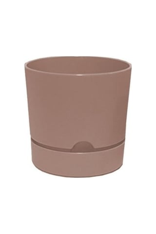 Polıwork Saksı Begonya 18 Cm Krem