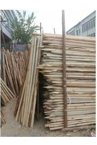 10 Adet 2 Metre Ahşap Direk Ahşap Direk Fidan Destek Kazıkları