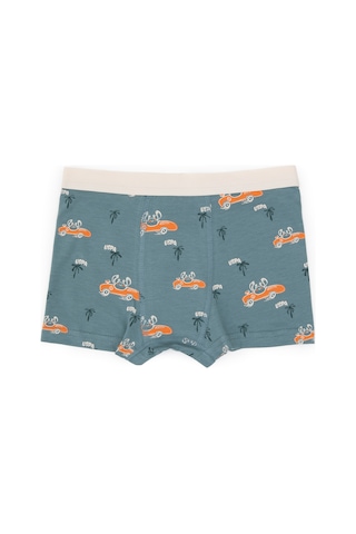 U.S. Polo Assn. Erkek Çocuk 3'lü Boxer Takım 50319395-VR051
