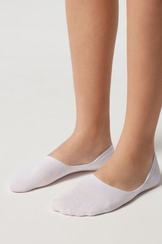 Kral Socks Kadın - Erkek Düz Desen 8'li Paket - 8 Çift Pamuklu Terletmez Babet Çorap Beyaz