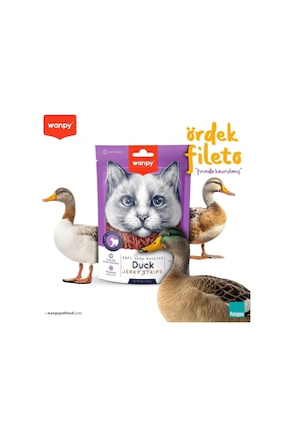 Wanpy Gerçek Ördek Fileto 80 Gr Yumuşak Kedi Ödülü