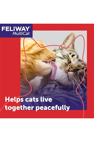 Felıway Multicat Sakinleştirici Feromon, 30 Gün Dolum - 1 Paket