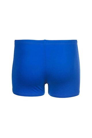 Arena Bright Swim Short Yüzücü Mayosu 006721803 Çok Renkli