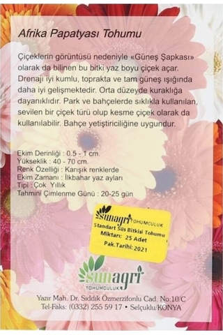 Sunagri Afrika Papatyası Çiçek Tohumu