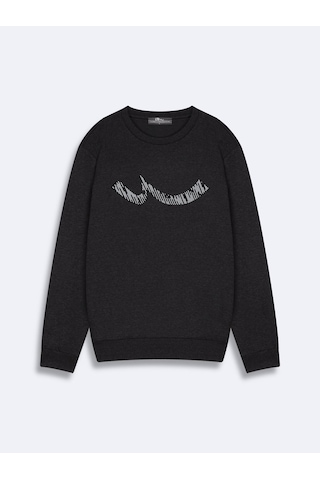 LTB Regular Fit Sign Baskılı Bisiklet Yaka Antrasit Sweatshırt