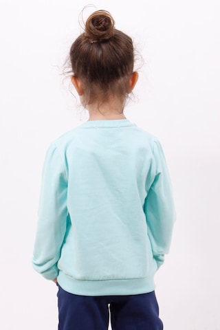 Toontoy Kız Çocuk Göğsü Kalp Nakışlı Sweatshirt Açık Mint Yeşili Mint